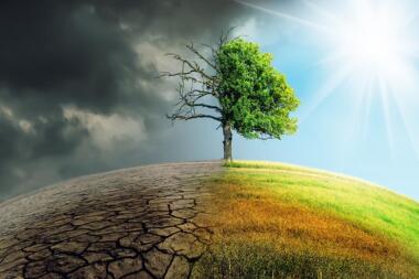 200131 climate change challenge
