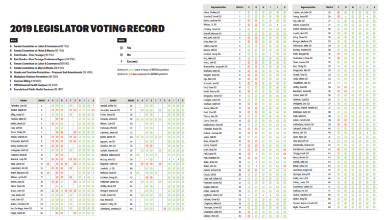 2019 legislative voting record