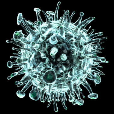influenza-virus