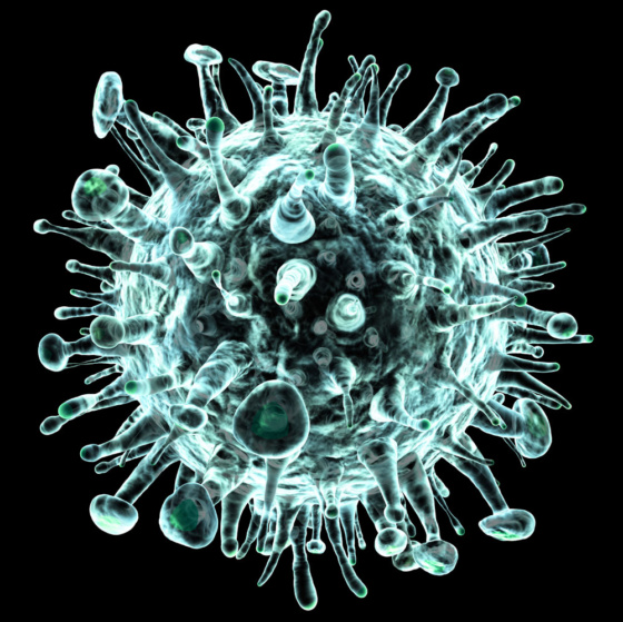 influenza-virus