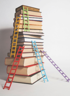 path-to-bsn