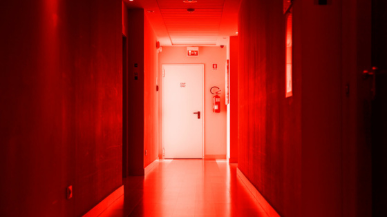 Brink 2021 09 13 204340 kfwr 1