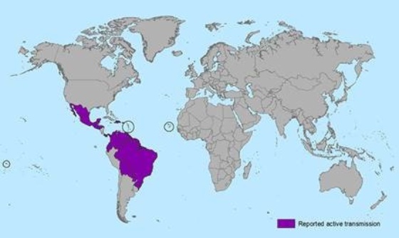 Zika Virus Map