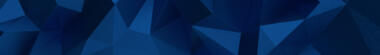 Banner bylaws