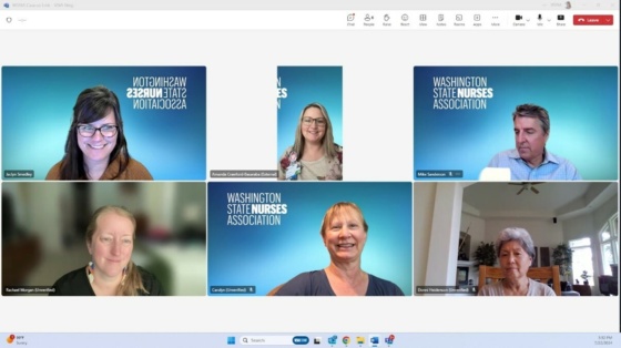 Virtualmeetingpvnas