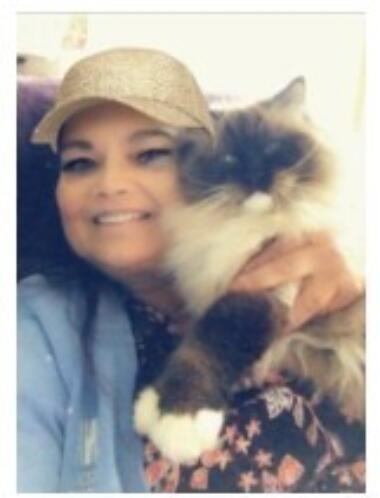 Purrtherapy