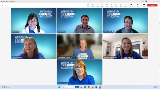 Pvnas virtual meeting