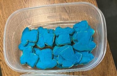 Wsna cookies