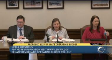 Senate operating budget