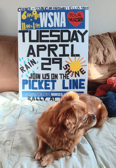 493317191 3000530730107438 7944466602102323804 n