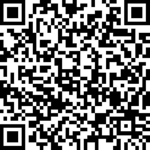 QR code BFH Dnego2025