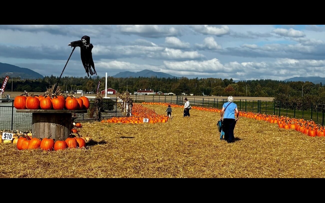 Pumpkin walk