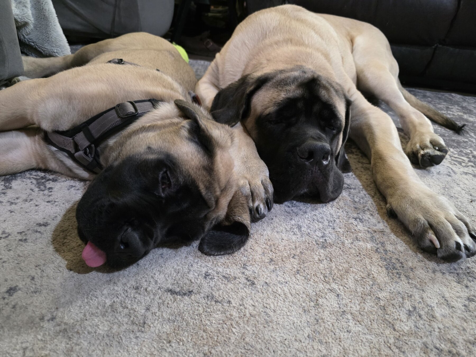 Thumbnail 1000028492