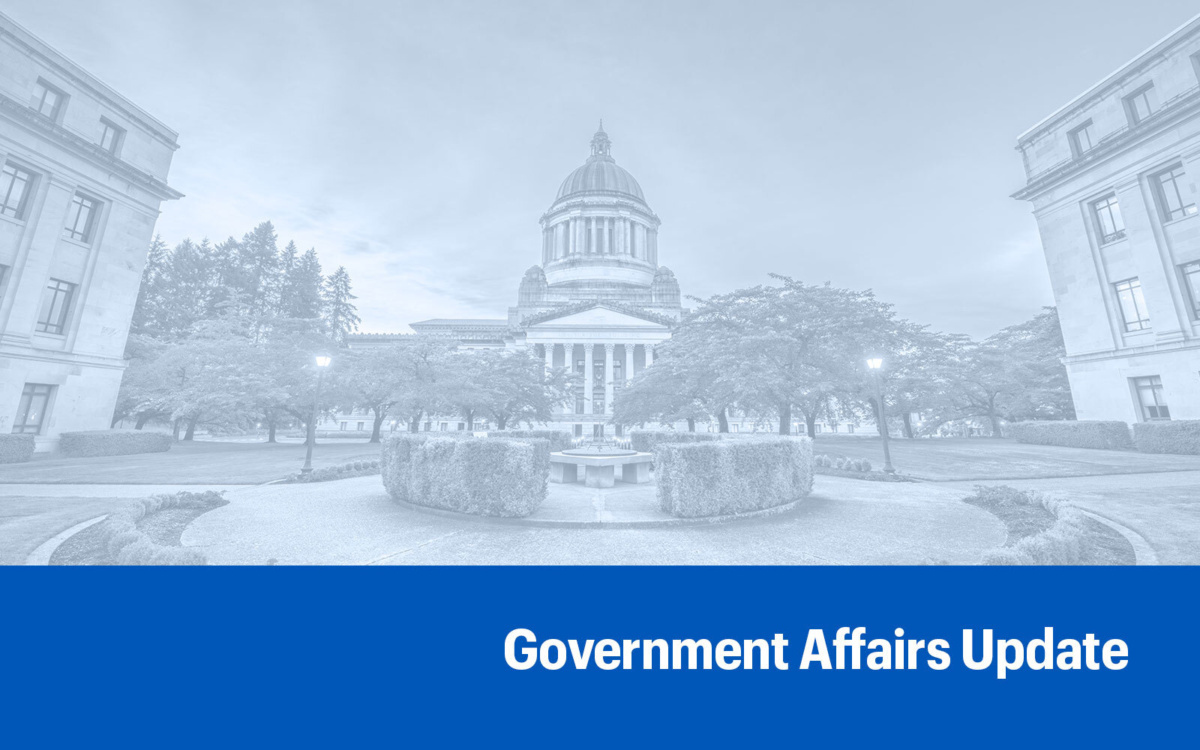 Government affairs update preview