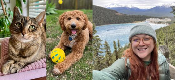 Hannah Collins Lewis combined