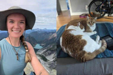 Haley Sheridan plus cats