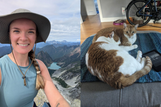 Haley Sheridan plus cats