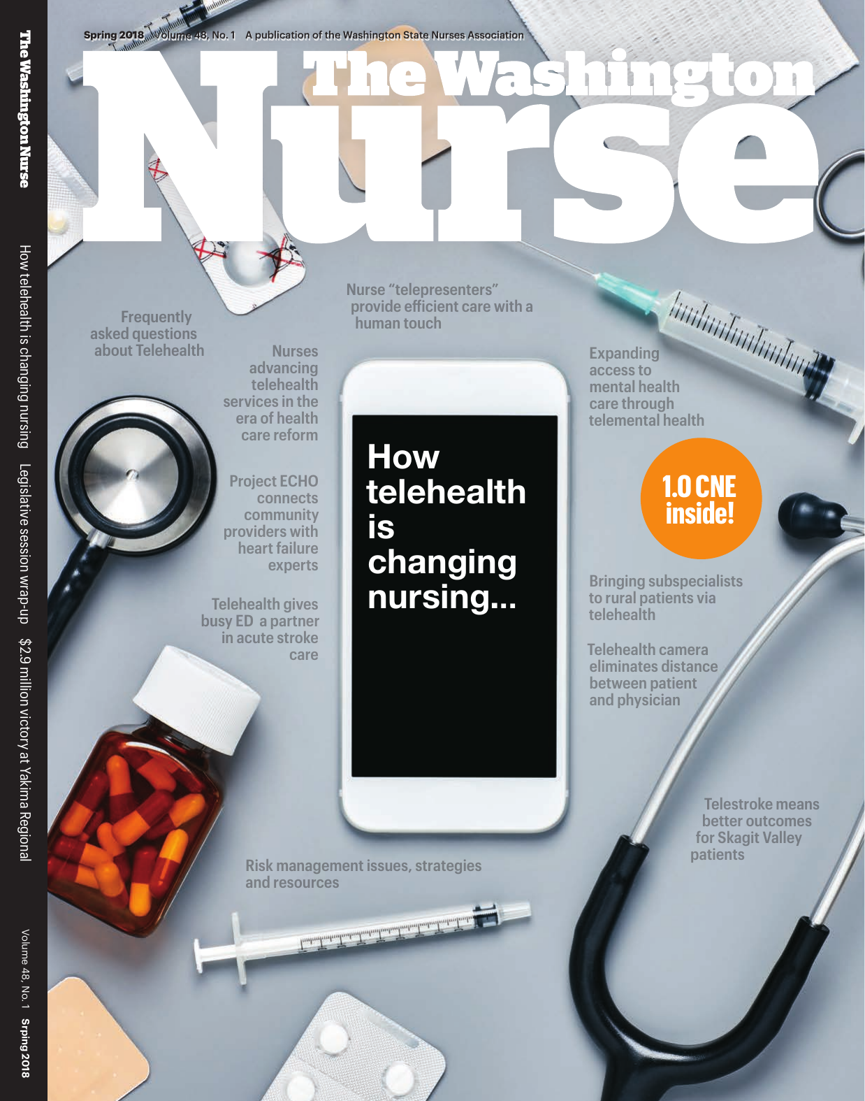 Cover of The Washington Nurse, Spring 2018