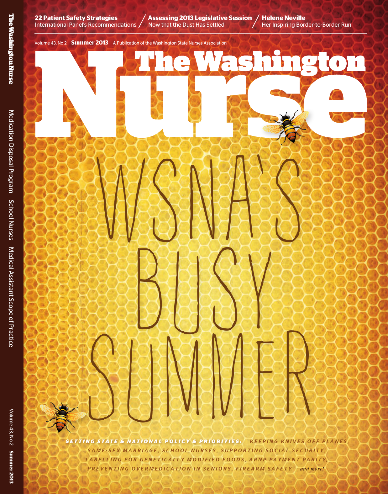 Cover of The Washington Nurse, Summer 2013